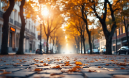 Immagine della Cassazione sul referendum autonomia