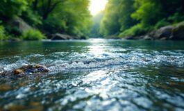 Indagini legali sull'annegamento nel fiume Natisone