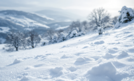Nevicate in provincia di Foggia con disagi nei comuni montani