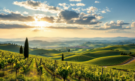 Immagine che rappresenta la memoria storica in Emilia-Romagna