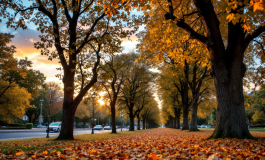 Michele Longobardi dopo Uomini e Donne, nuove apparizioni