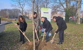 featured 2125088 265x160