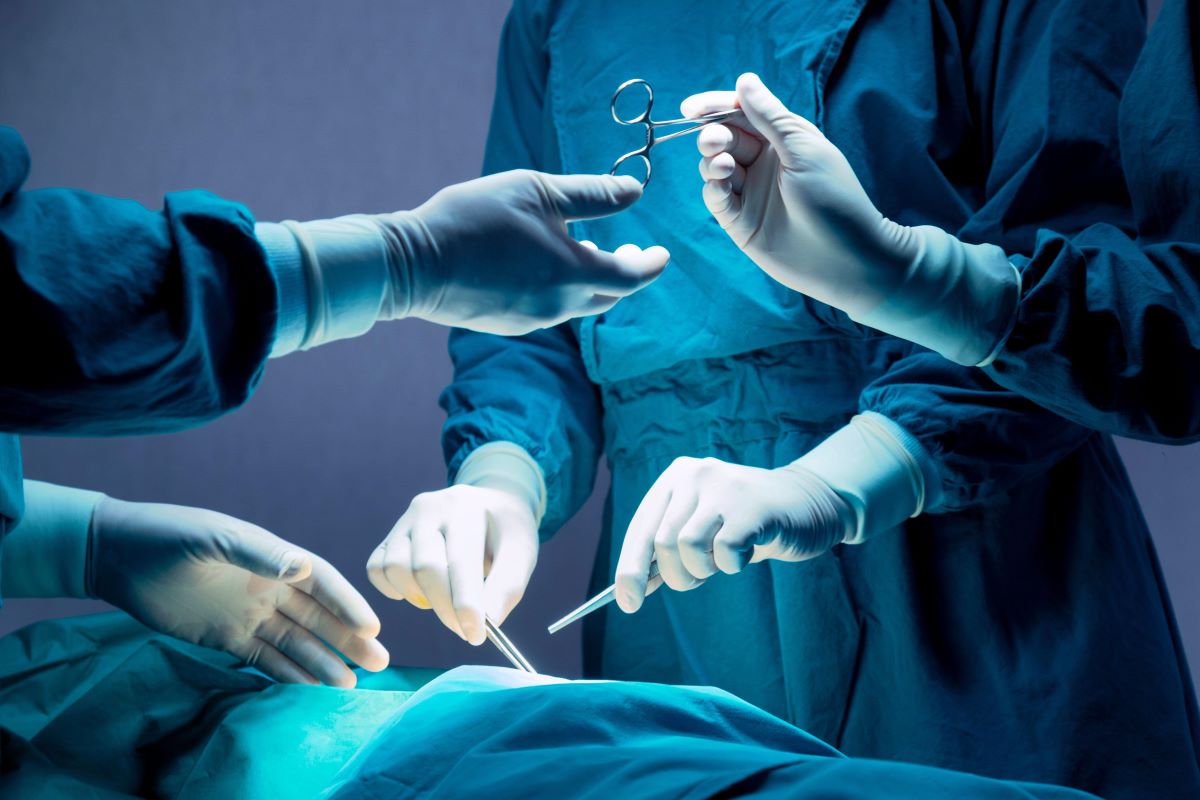 Cancro in Italia, 390.100 nuovi casi nel 2024: il rapporto Aiom prevede un alto tasso di guarigione