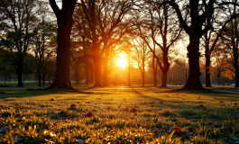 Isobel Kinnear e Federico Nicotera insieme in un evento