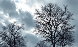 Immagine della perturbazione artica che colpisce l'Italia