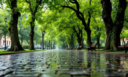 Marito e moglie arrestati per sequestro neonata a Cosenza