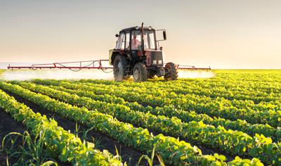 Osservatorio Enpaia-Censis del mondo agricolo, 70% italiani favorevole a lavorare oltre età pensionamento