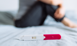 featured 2135907 265x160