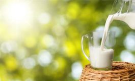 featured 2136416 265x160