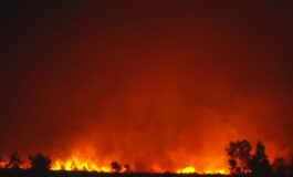 Bianca Balti sulle cure e l'incendio a Los Angeles