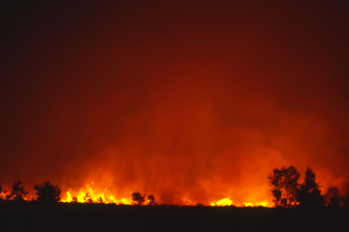 Bianca Balti sulla malattia e l'incendio di Los Angeles: "Sogno una vita senza avvenimenti"