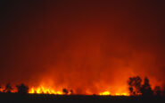 Incendi Los Angeles la rivelazione di Jennifer Garner