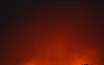 Incendi Los Angeles la rivelazione di Jennifer Garner