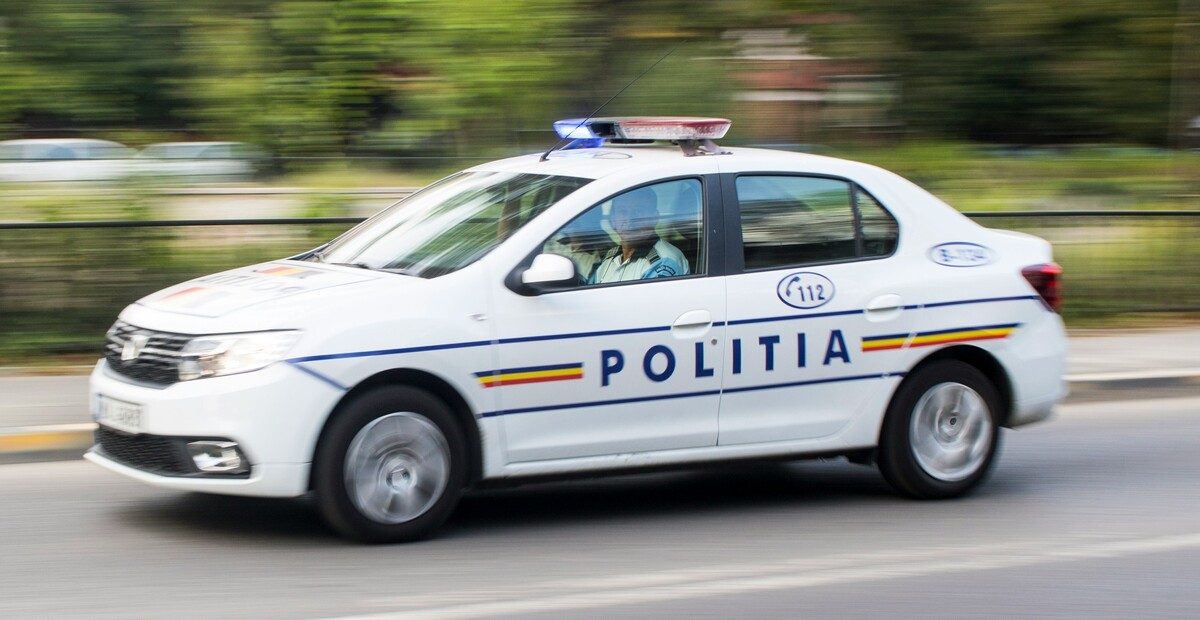 Romania, ragazza morta in casa a 34 anni: il suo corpo mangiato dai carlini