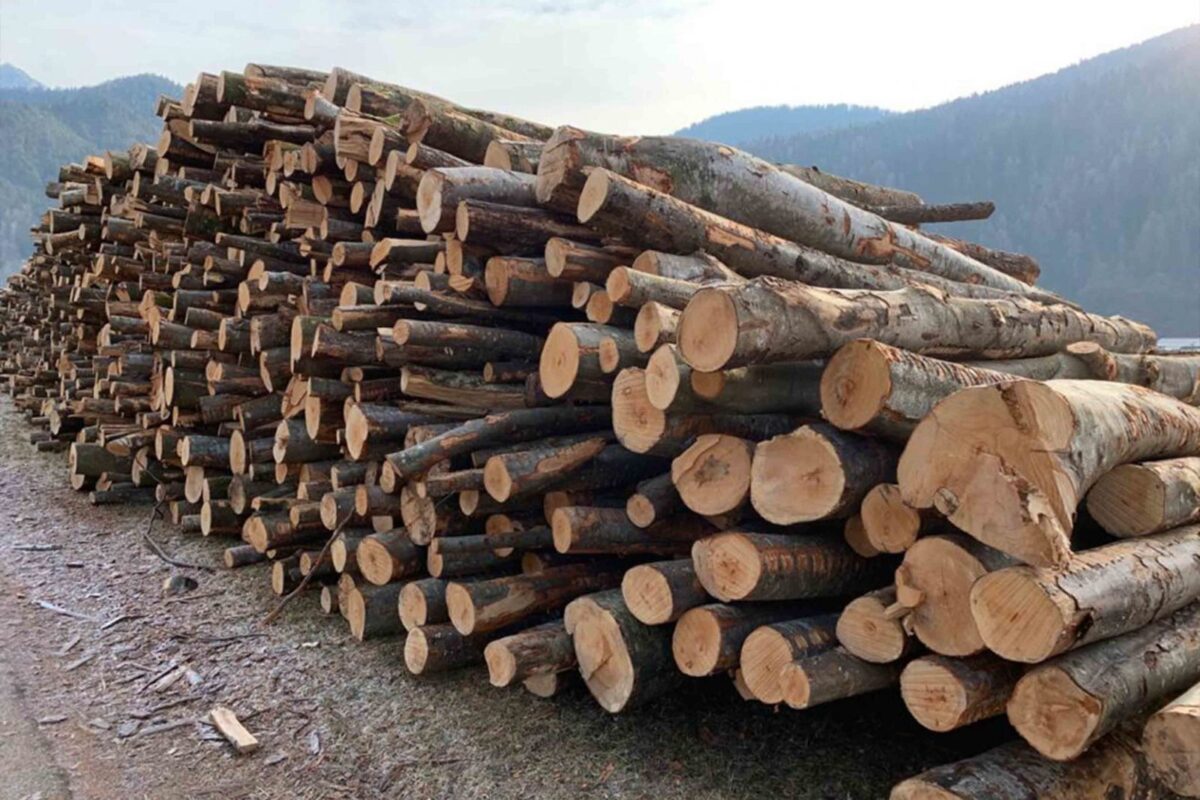 Legna da ardere o pellet: differenza e vantaggi per un riscaldamento efficiente