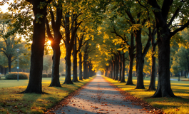 Angela Caloisi e Paolo Crivellin in dolce attesa