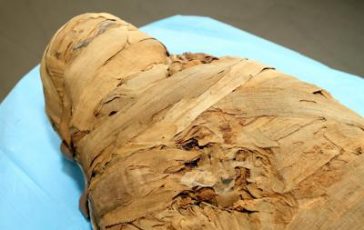 featured 2146276 364x230