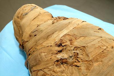 Legnoso e dolce-piccante, ecco il profumo di Tutankhamon: scoperto odore mummie egiziane