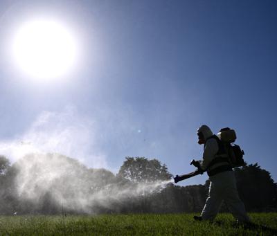 Dengue, gli esperti: "Bene modello marchigiano per contenere focolaio"