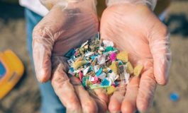 featured 2149913 265x160