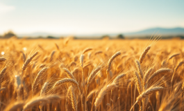 Immagine che rappresenta il confronto tra Prodi e Meloni