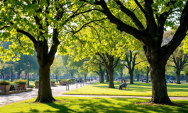 Consigliere comunale di Brescia sotto indagine per maltrattamenti