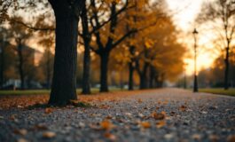 Andrea Prospero e i pericoli della rete