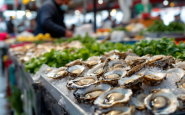 Discussione sull'IVA delle ostriche in Italia