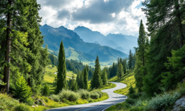 Immagine dell'orso Juan Carrito, simbolo di una controversia legale