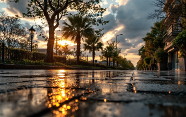 Guardia di Finanza sequestra cocaina a Sestu