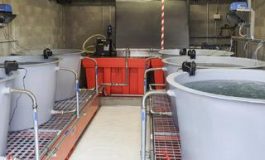 featured 2152383 265x160