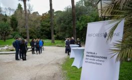 featured 2154420 265x160