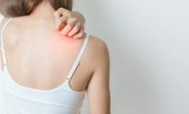 featured 2154711 265x160