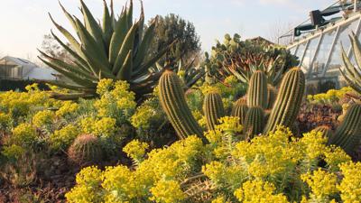 L' Universit&agrave; di Roma Tor Vergata apre orto botanico a scuole e cittadini per esperienza sostenibile