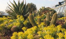 featured 2155990 265x160