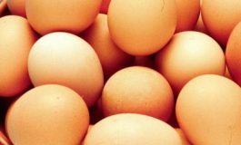 featured 2156001 265x160