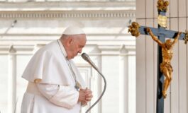 vaticano papa francesco