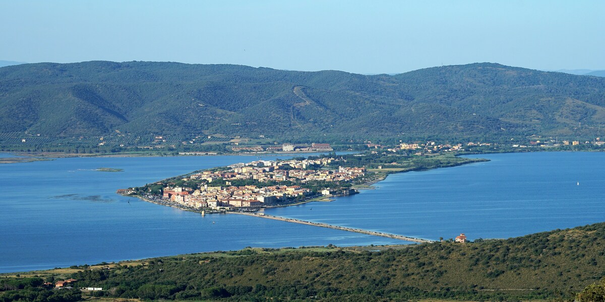 Orbetello, è invasione di moscerini: a rischio le vacanze estive?