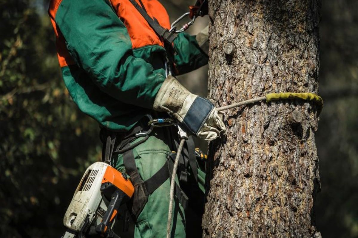 Lavori su tetti e ponteggi: quali DPI sono indispensabili per garantire la sicurezza?