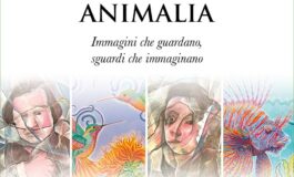 whatsapp image 2025 03 06 at 165645 1 265x160