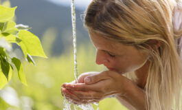 Per chi soffre di allergie comuni, scegliere la meta giusta è importante