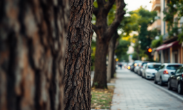 Immagine degli arresti legati all'omicidio di Claudio Celletti