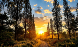 Brigadiere che canta con passione e strumenti musicali