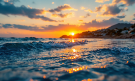 Concorrenti Isola dei Famosi e i loro compensi