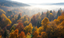 Immagine che rappresenta la confessione di un omicidio a Ferrara