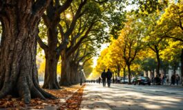 Immagine che rappresenta il tema del consenso e revenge porn a Milano