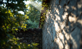 Papa Francesco in convalescenza, aggiornamenti e prospettive