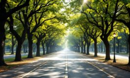 Corteo funebre di Papa Francesco con fedeli in lutto