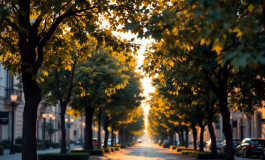 Immagine di Sara Campanella, vittima di femminicidio a Messina