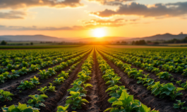 Satnam Singh, vittima di un tragico incidente a Latina